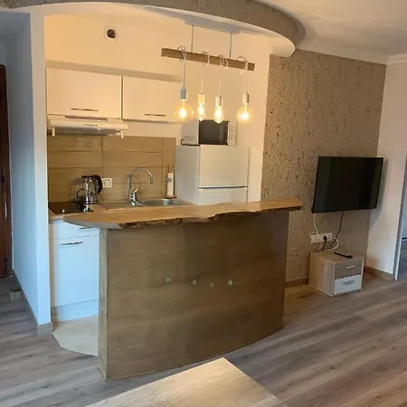 Superbe 2 Pieces A 50 M De La Promenade Des Apartament *